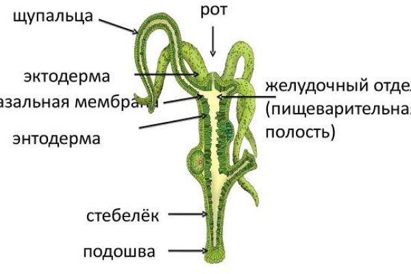 Мега даркнет шоп