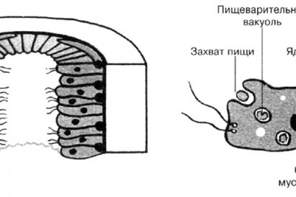 Mega sb ссылка на сайт